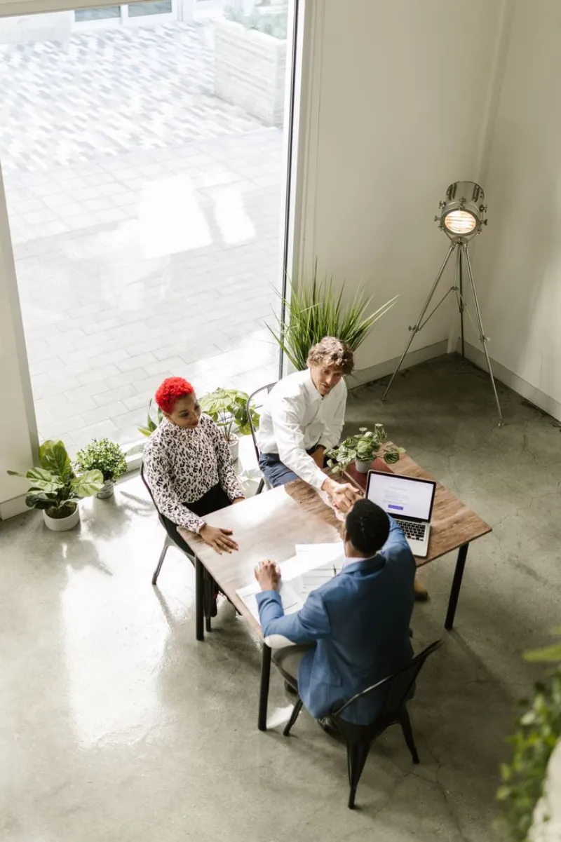 Integrators & consultants